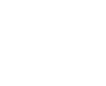 NEN logo